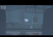 Mujer recibe disparo en la oreja mientras conducía auto. Akita